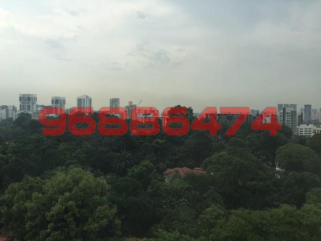 Scotts 28 (D9), Condominium #95163402